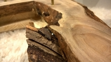 MagicMirror wood detail