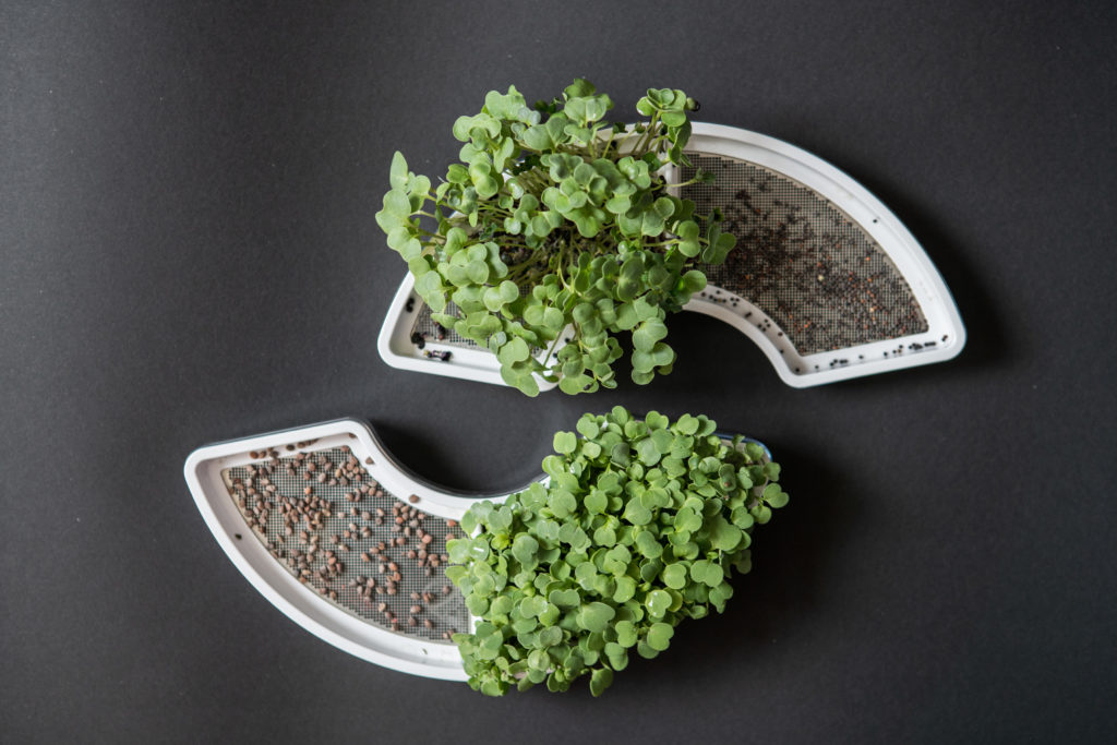 Plantui Smart Garden Microgreens Tray 003