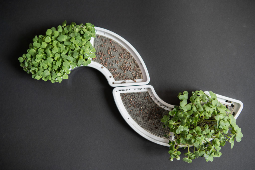 Plantui Smart Garden Microgreens Tray 007