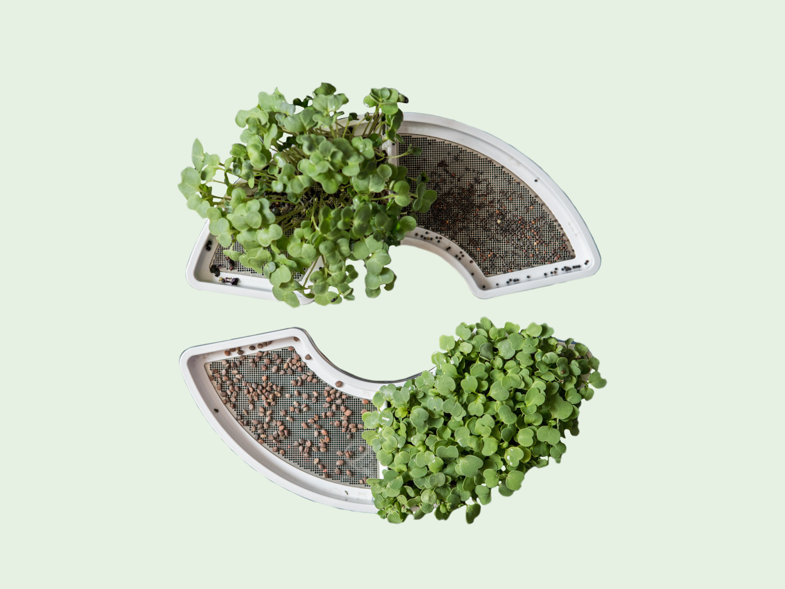 Plantui Smart Garden Microgreens Tray Review Titelbild
