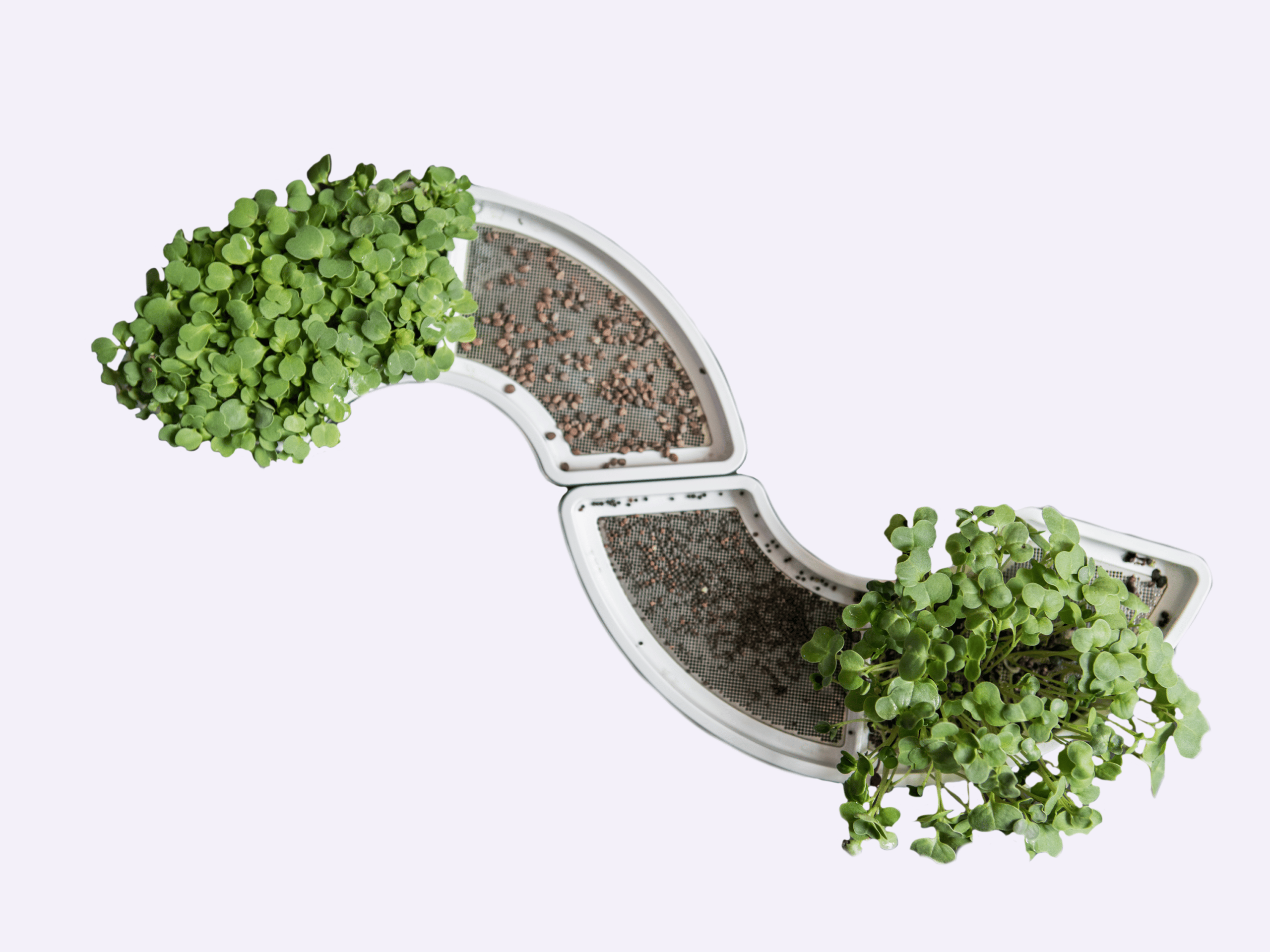 Plantui Smart Garden How To Grow Microgreens Titelbild